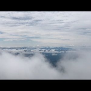 Meet your Posher, Hayley